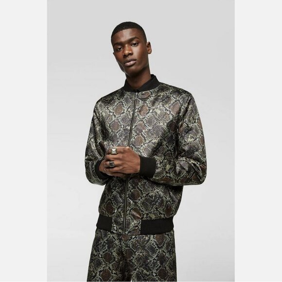 Zara Snake Print Bomber Jacket and Pants 2 Piece Set - Picture 5 of 11